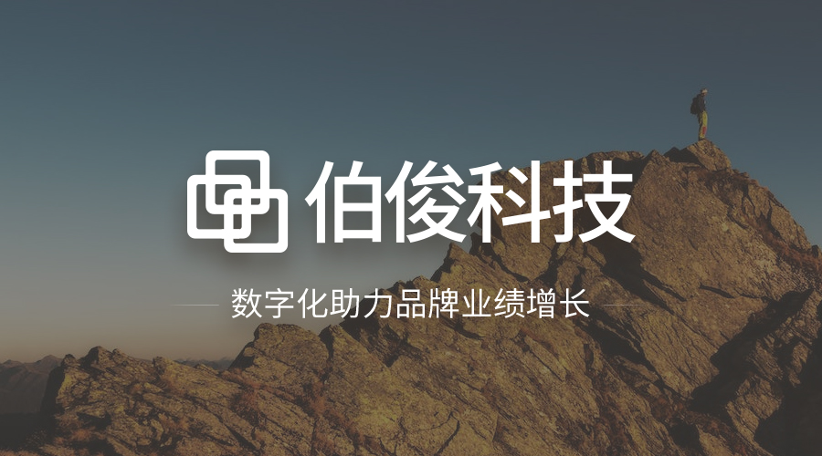 伯俊ERP運維服務(wù)，開啟專業(yè)運維新模式